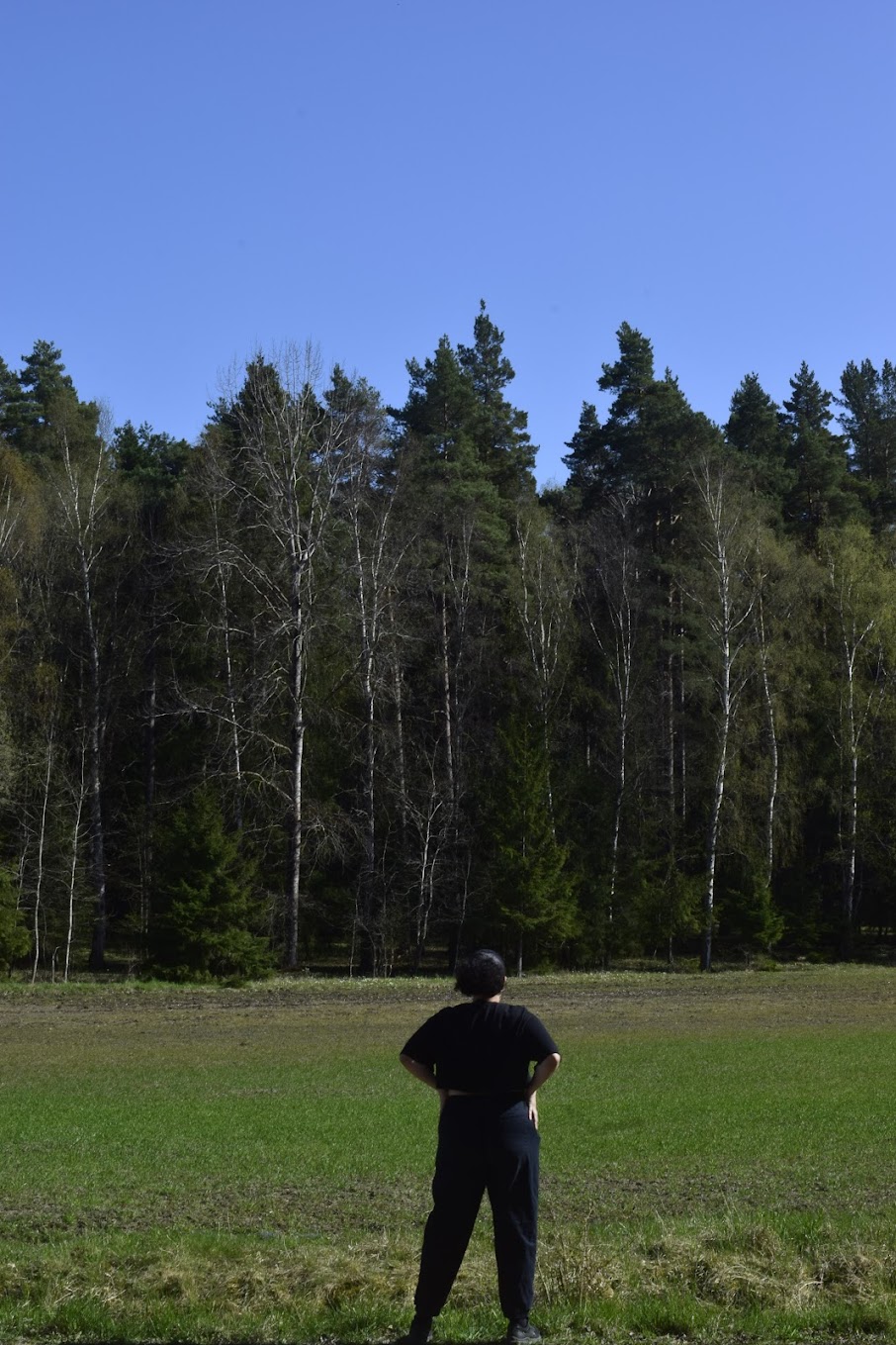 main intro image