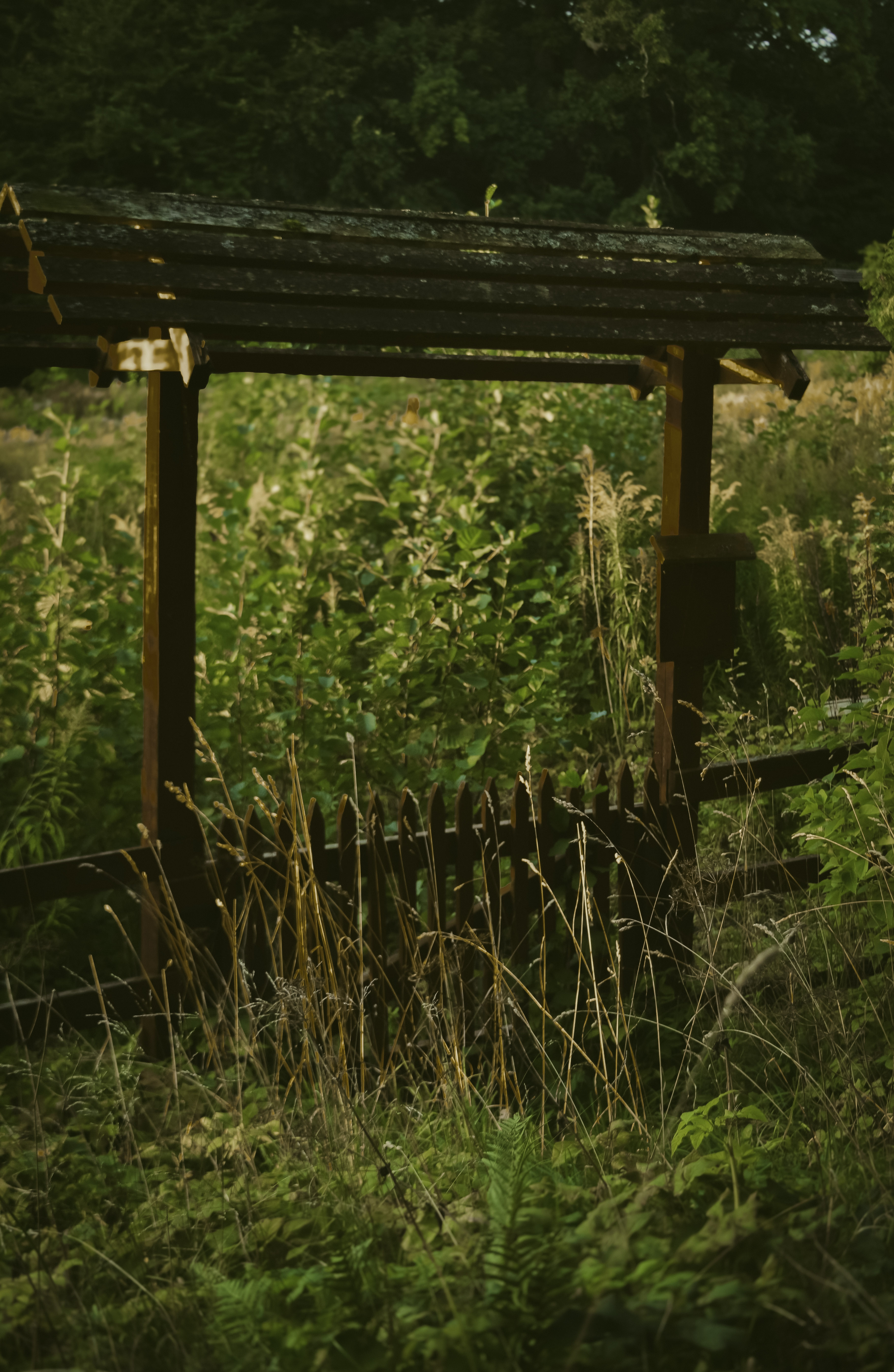 Photography taken by Acsa