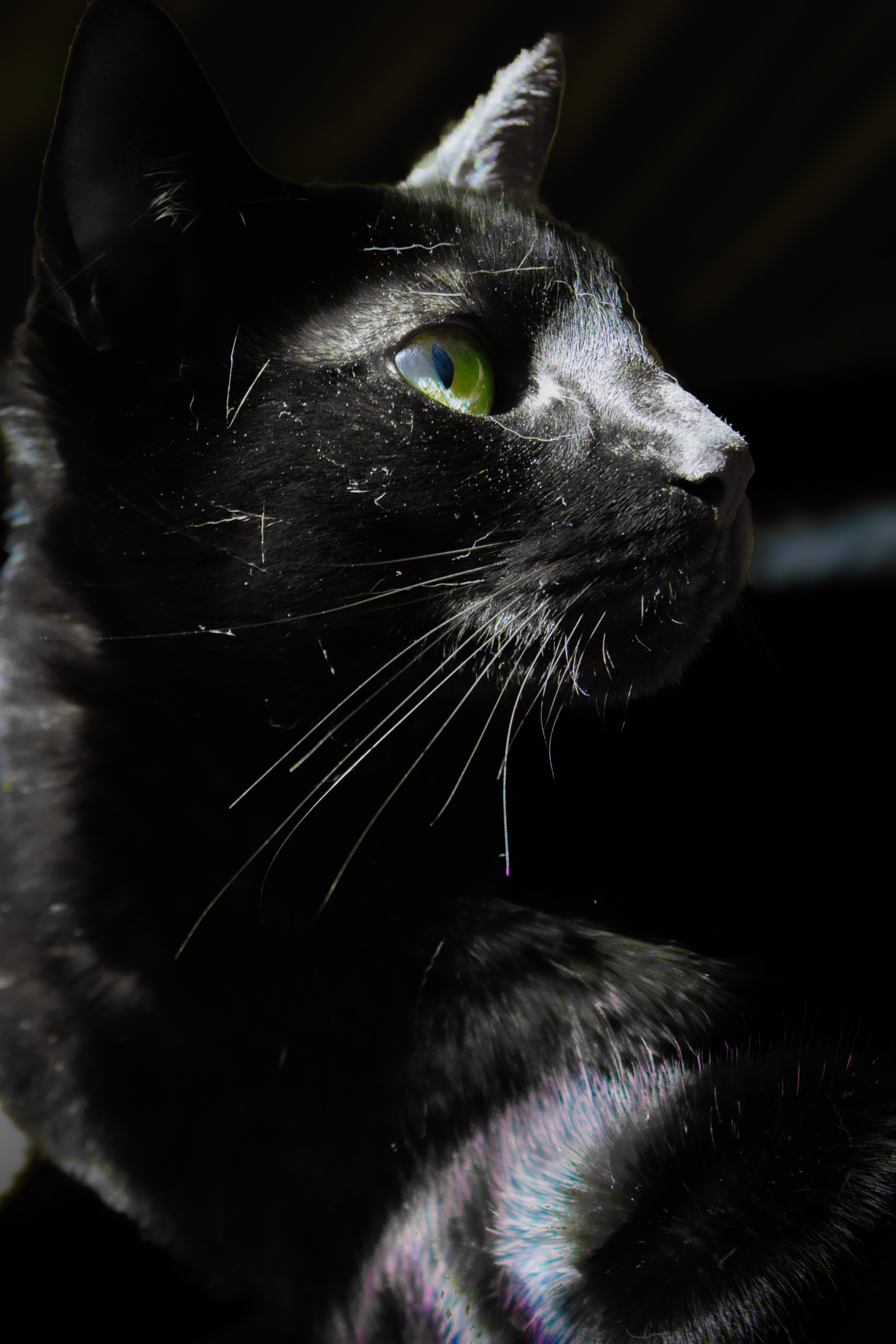 Photography taken by Acsa
